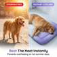 ⏳Time-Limited Special⏰Pawchill Pet Cooling Mat for Dogs & Cats 🐾  Naturally Cool Ice-Silk Pad • Breathable, Washable & Soft 🌿  For Floors, Sofas & Car Travel • Multiple Sizes • Gradient Colours ☀️🐶🐱