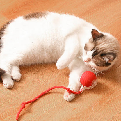 ⏳Time-Limited Special⏰Smart Automatic Rolling Pet Ball