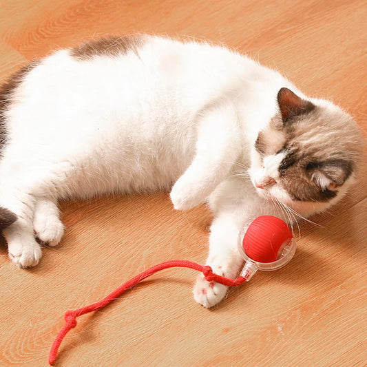 ⏳Time-Limited Special⏰Smart Automatic Rolling Pet Ball