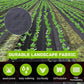 ⏳Time-Limited Special⏰Weed Control Fabric – Blocks Sunlight, Breathable & Perfect for Garden Beds & Pathways 📉