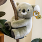 Adorable Koala Plush Toy