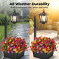 💐New arrival 46% OFF!🌿Wrought Iron Solar Light – Retro Style & All-Weather