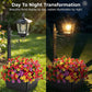 💐New arrival 46% OFF!🌿Wrought Iron Solar Light – Retro Style & All-Weather