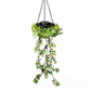 ⏳Time-Limited Special⏰ Solar Ivy Lights with Artificial Leaves – Waterproof, 8 Lighting Modes & Flexible – Perfect for Gardens, Balconies & Wall Decoration 🌿💡✨