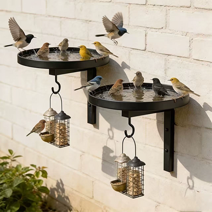 ⏳Time-Limited Special⏰Wall-Mounted Metal Bird Bath – Antique Bronze Finish 🐦