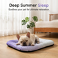 ⏳Time-Limited Special⏰Cooling Gel Mat for Pets Summer Heat Relief Pad Breathable Non-Toxic Cool Sleeping Mat for Dogs Cats
