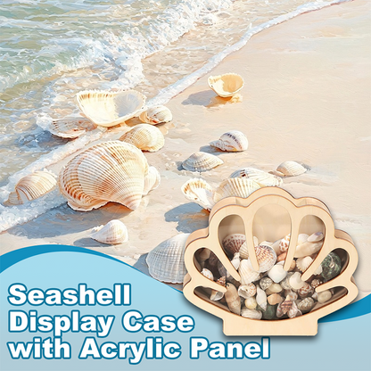 ⏳Time-Limited Special⏰Seashell Display Case with Acrylic Panel – Transparent & dustproof – Perfect for collections, crafts or souvenirs – elegant tabletop or shelf display 🏖️🌟