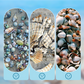 ⏳Time-Limited Special⏰Seashell Display Case with Acrylic Panel – Transparent & dustproof – Perfect for collections, crafts or souvenirs – elegant tabletop or shelf display 🏖️🌟