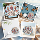 ⏳Time-Limited Special⏰Seashell Display Case with Acrylic Panel – Transparent & dustproof – Perfect for collections, crafts or souvenirs – elegant tabletop or shelf display 🏖️🌟