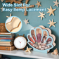 ⏳Time-Limited Special⏰Seashell Display Case with Acrylic Panel – Transparent & dustproof – Perfect for collections, crafts or souvenirs – elegant tabletop or shelf display 🏖️🌟