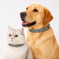⏳Time-Limited Special⏰Adjustable Flea & Tick Collars for Dogs & Cats