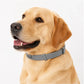⏳Time-Limited Special⏰Adjustable Flea & Tick Collars for Dogs & Cats