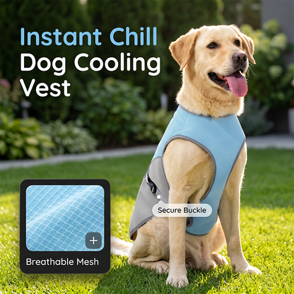 ⏳Time-Limited Special⏰Dog Cooling Vest Harness – Ice-silk fabric & adjustable – Keeps your pet cool in summer – perfect for walks, beach or travel 🐾🌊✨