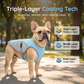 ⏳Time-Limited Special⏰Dog Cooling Vest Harness – Ice-silk fabric & adjustable – Keeps your pet cool in summer – perfect for walks, beach or travel 🐾🌊✨