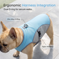 ⏳Time-Limited Special⏰Dog Cooling Vest Harness – Ice-silk fabric & adjustable – Keeps your pet cool in summer – perfect for walks, beach or travel 🐾🌊✨
