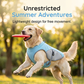 ⏳Time-Limited Special⏰Dog Cooling Vest Harness – Ice-silk fabric & adjustable – Keeps your pet cool in summer – perfect for walks, beach or travel 🐾🌊✨