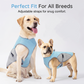 ⏳Time-Limited Special⏰Dog Cooling Vest Harness – Ice-silk fabric & adjustable – Keeps your pet cool in summer – perfect for walks, beach or travel 🐾🌊✨