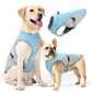 ⏳Time-Limited Special⏰Dog Cooling Vest Harness – Ice-silk fabric & adjustable – Keeps your pet cool in summer – perfect for walks, beach or travel 🐾🌊✨
