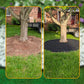 ⏳Time-Limited Special⏰Garden Edging Roll 10m with 30 Pegs🏡Roll It Out, Peg It Down – Neat Borders in Minutes ✨
