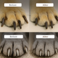 ⏳Time-Limited Special⏰Pet Nail Clippers with LED Light – Precision blade, built-in light & safety guard – Stress-free grooming for dogs & cats at home 🛁