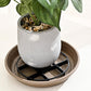 ⏳Time-Limited Special⏰Root-Saving Pot Riser – elevates planters, promotes airflow, keeps floors clean – for indoor & outdoor use. 🔥🏠