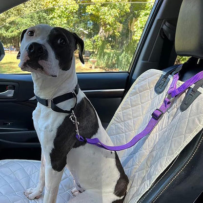⏳Time-Limited Special⏰2-in-1 Car Safety & Walk Leash – Headrest Mount, No Seatbelt Buckle Needed! 🚗