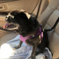 ⏳Time-Limited Special⏰2-in-1 Car Safety & Walk Leash – Headrest Mount, No Seatbelt Buckle Needed! 🚗