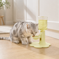 ⏳Time-Limited Special⏰Adjustable Neck-Care Cat Water Fountain – 3-Level Height Adjustable, Anti-Slip & Auto Refill Flow ✨
