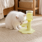 ⏳Time-Limited Special⏰Adjustable Neck-Care Cat Water Fountain – 3-Level Height Adjustable, Anti-Slip & Auto Refill Flow ✨