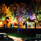 ⏳Time-Limited Special⏰Ring-Shaped Solar Tree Lights – Weatherproof Outdoor Spotlights Ideal for Trees, Pillars, and Gardens