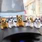 ⏳Time-Limited Special⏰Cute Dog Bobblehead – Nods Along Every Turn – 10 Breeds, Soft Plush, Gold Chain – Brings Smiles to Every Drive 🚗