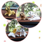 ⏳Time-Limited Special⏰Cute Dog Bobblehead – Nods Along Every Turn – 10 Breeds, Soft Plush, Gold Chain – Brings Smiles to Every Drive 🚗
