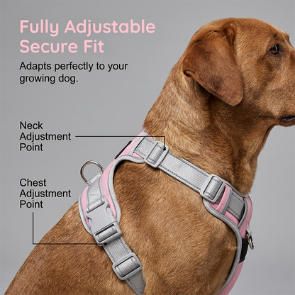⏳Time-Limited Special⏰Escape-Proof Dog Harness with Top Handle – Adjustable No-Pull Vest with 3M Reflective Straps