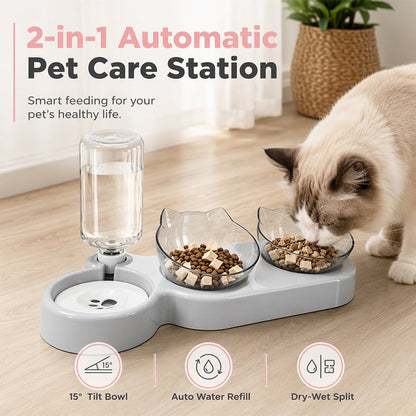 ⏳Time-Limited Special⏰2-in-1 Ergonomic Elevated Tilted Pet Bowl