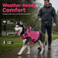 ⏳Time-Limited Special⏰Durable Oxford Fabric Dog Harness Vest – Safe, Adjustable, Comfortable 🥾✨