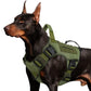 ⏳Time-Limited Special⏰Durable Oxford Fabric Dog Harness Vest – Safe, Adjustable, Comfortable 🥾✨