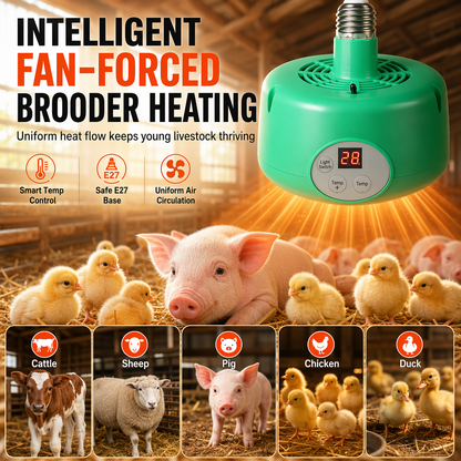 ⏳Time-Limited Special⏰Intelligent Temperature Control Brooder Heater – Fan Forced Livestock Heat Lamp for Chicks, Piglets, Sheep & Farm Animals