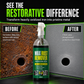 🎁2026 New Arrivals 50% OFF💥3 in 1 Rust Remover & Phosphating Agent – Degrease, Remove Rust, Anti-Rust ✨